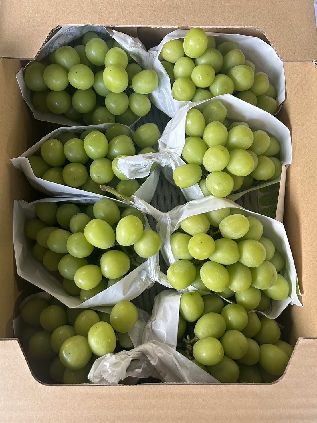Shine muscat / Kyoho